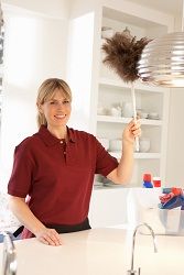 bayswater domestic cleaner w2